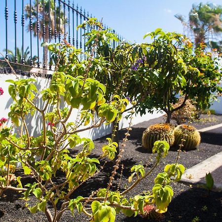 Alizuth Villa Puerto del Carmen  Ngoại thất bức ảnh